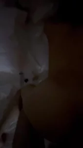 两指爆菊后入肥臀母狗（下集）