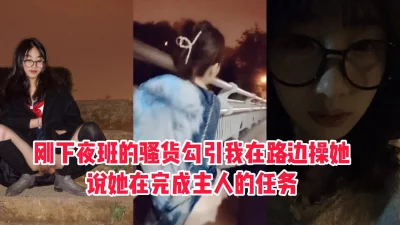 我在完成主人的任务”下夜班的骚货路边求操
